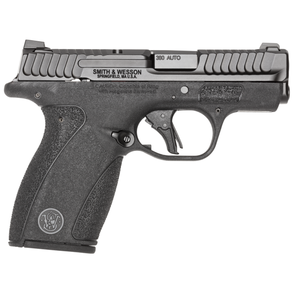 Smith & Wesson Bodyguard 2.0 .380ACP NTS (12RD)